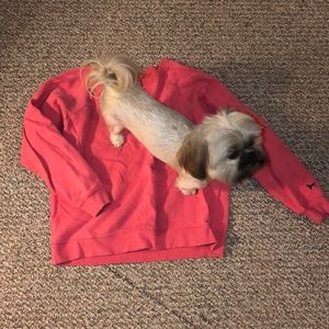 Red crew neck the black dog sweatshirt